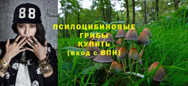 a pvp Абаза