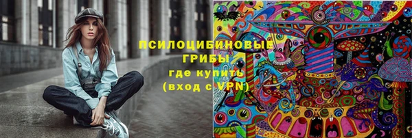 круглые Алзамай